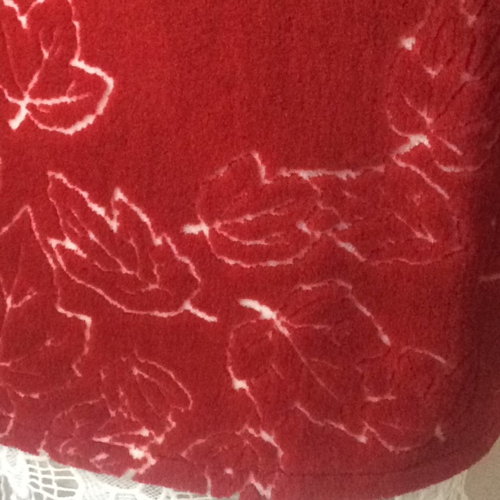 Red Jacket - Picture 4 of 7